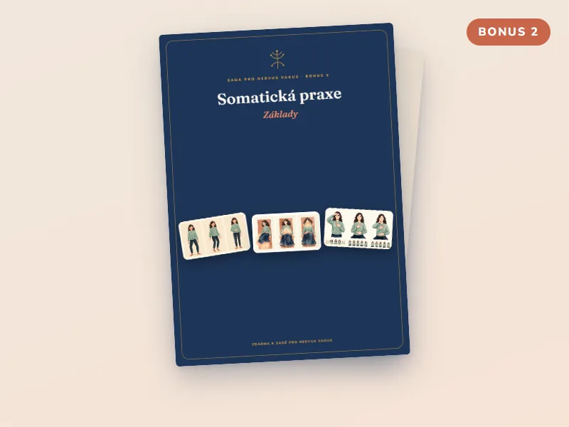 Bonus 2: Somatická praxe — Základy