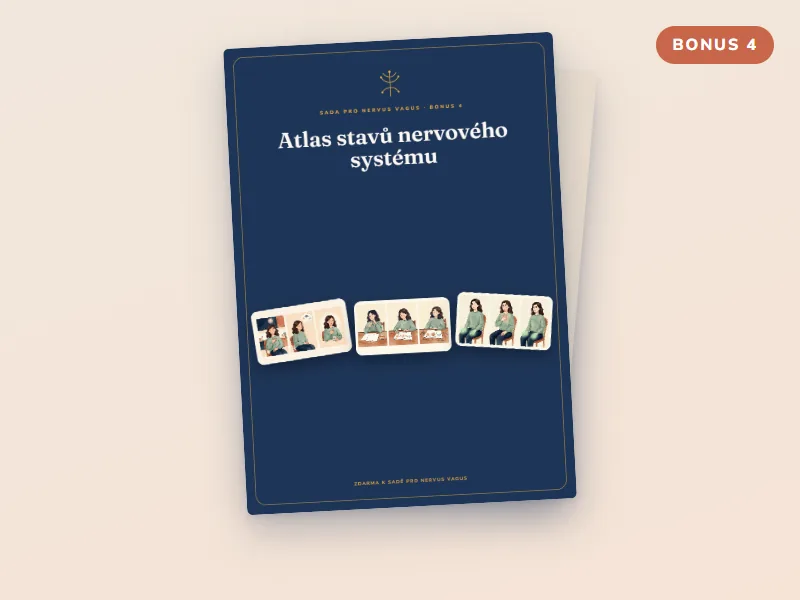 Bonus 4: Atlas stavů nervového systému
